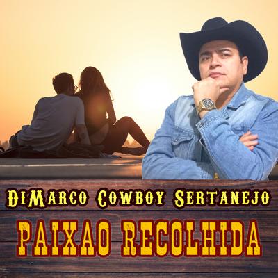 Paixão Recolhida's cover