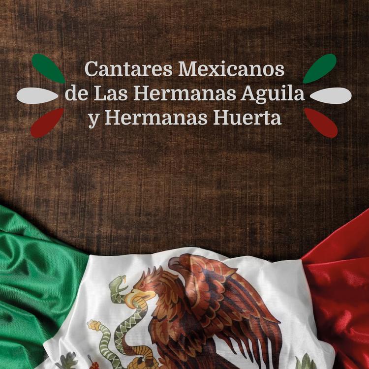 Hermanas Huerta's avatar image