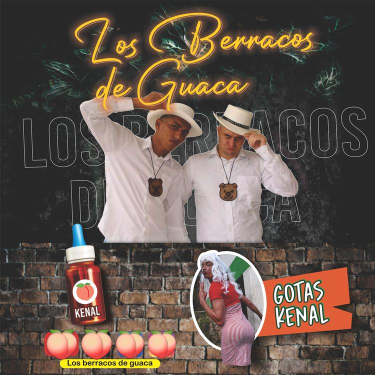 Los Berracos De Guaca's avatar image