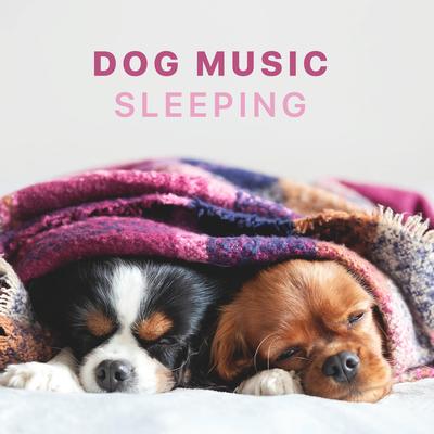 Music for Dogs By Sleepy Dogs's cover