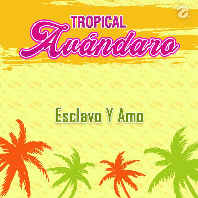Tropical Avandaro's avatar image