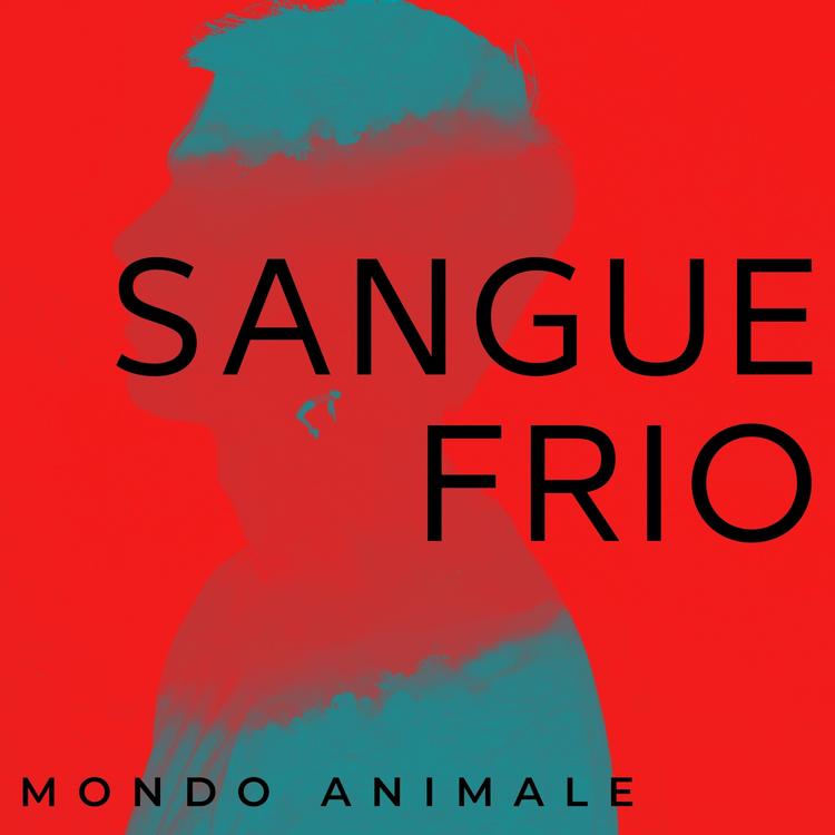 Mondo Animale's avatar image