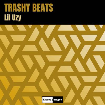 Trashy Beats's cover