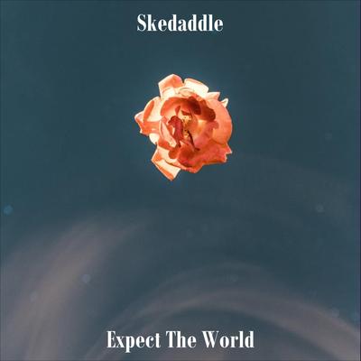 Expect The World's cover