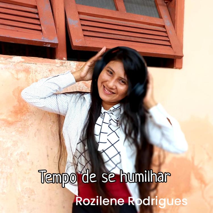 Rozilene Rodrigues's avatar image
