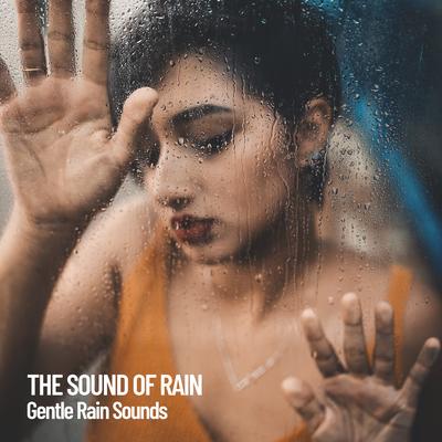 The Sound of Rain: Gentle Rain Sounds's cover