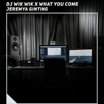 Dj Wik Wik X What You Come's cover