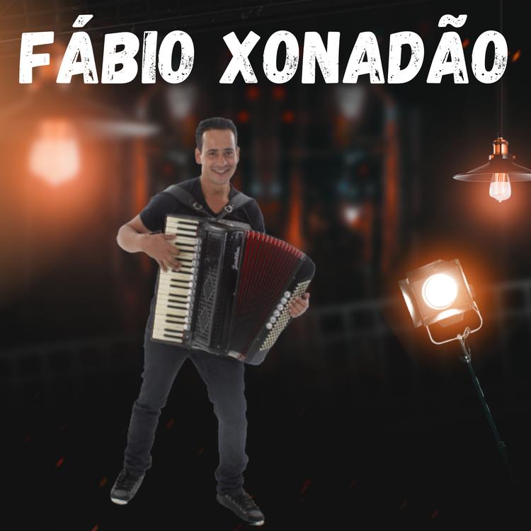 Fabio Xonadão's avatar image