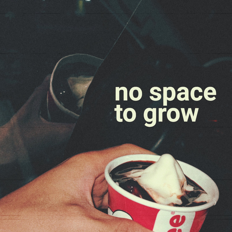 No Space To Grow's avatar image