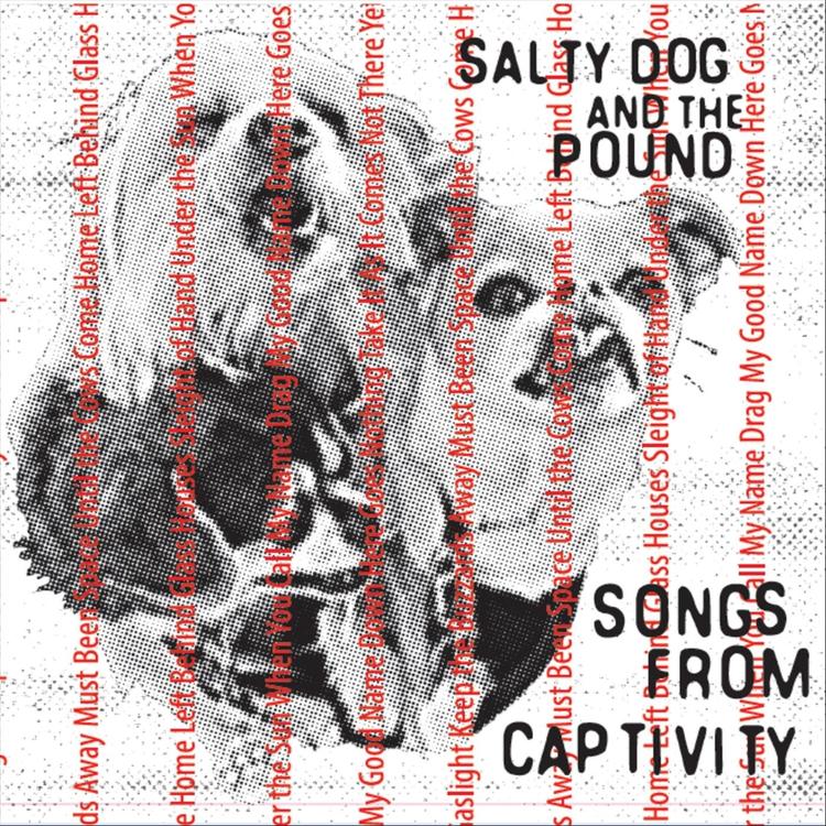 Salty Dog and the Pound's avatar image