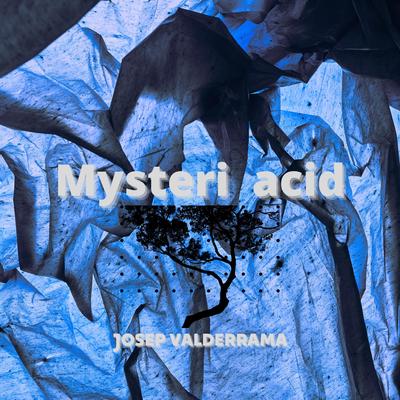 Mysteri Acid's cover