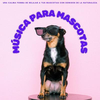 Música Para Mascotas: Una Calma Forma De Relajar A Tus Mascotas Con Sonidos De La Naturaleza's cover