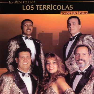 Los Años De Oro - Todos Sus Éxitos's cover