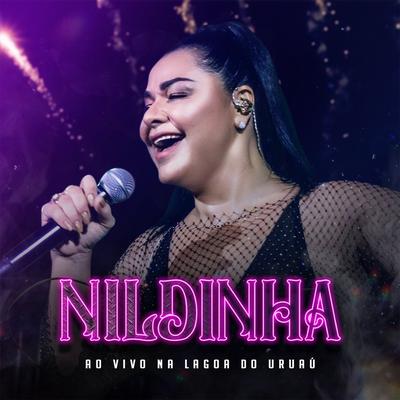 Viagem ao Paraíso (Ao Vivo) By Nildinha, Zé Cantor's cover