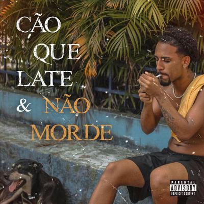 Cão Que Late e Não Morde (Freestyle)'s cover
