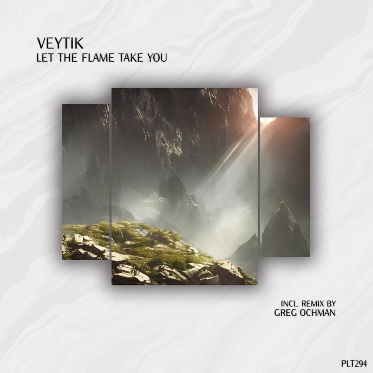 Veytik's avatar image