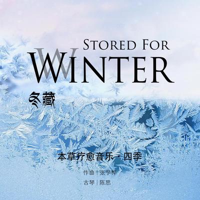 为有暗香来 (古琴版)'s cover