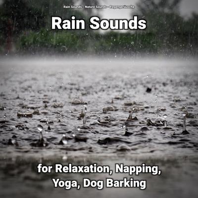 Rain Sounds for Relaxation Pt. 67 By Rain Sounds, Nature Sounds, Regengeräusche's cover