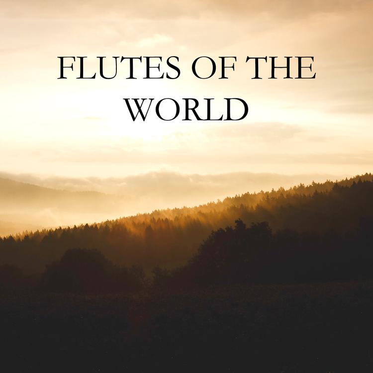 Flutes of the World's avatar image