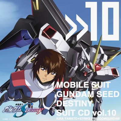 Mobile Suit Gundam Seed Destiny Suit Vol.10 Kira Yamato × Strike Freedomgundom's cover