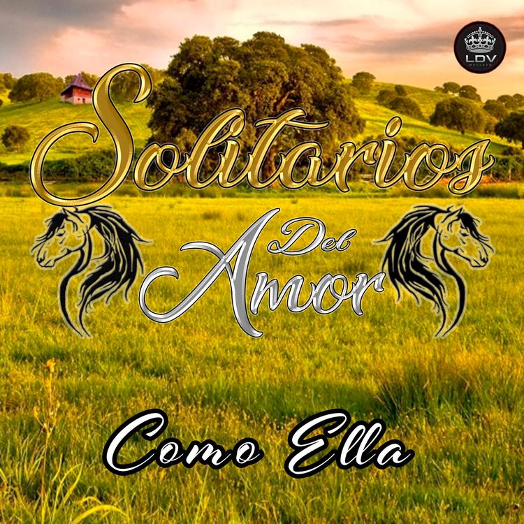 Solitarios Del Amor Chile's avatar image