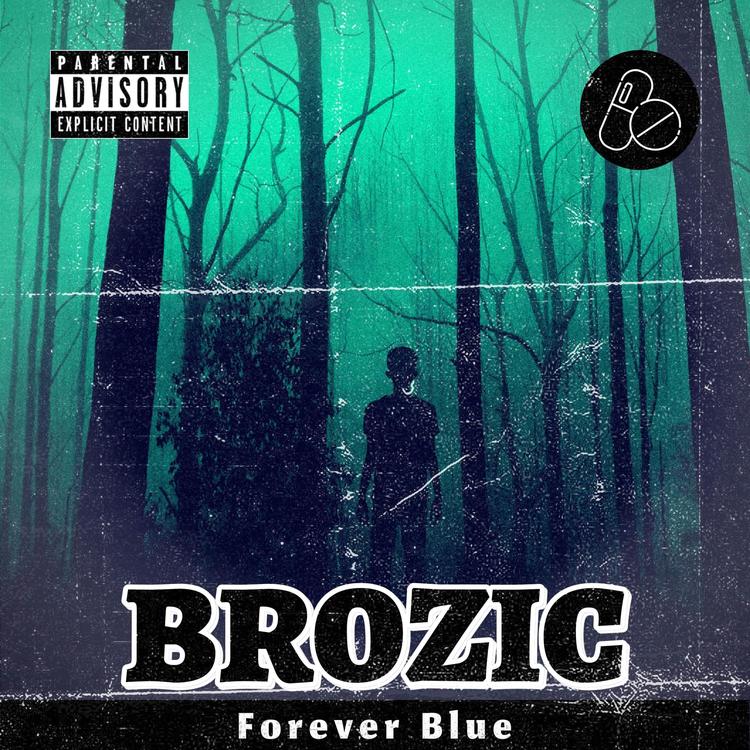 Brozic's avatar image