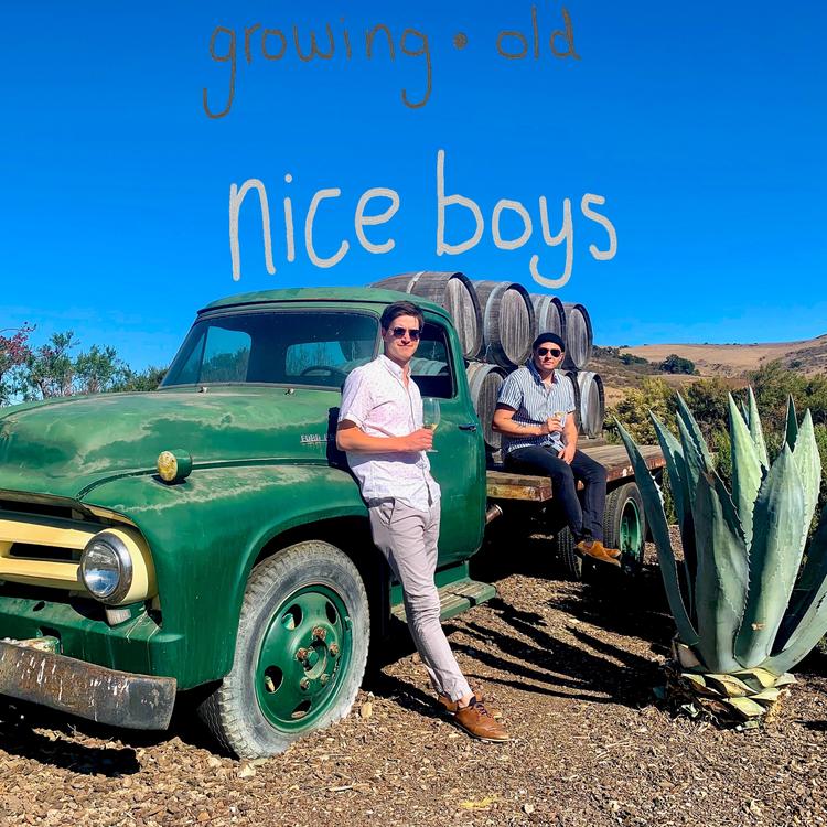 Nice Boys's avatar image