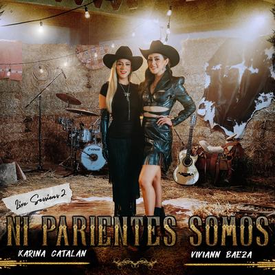 Ni Parientes Somos By Viviann Baeza, Karina Catalán's cover