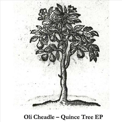 Quince Tree's cover
