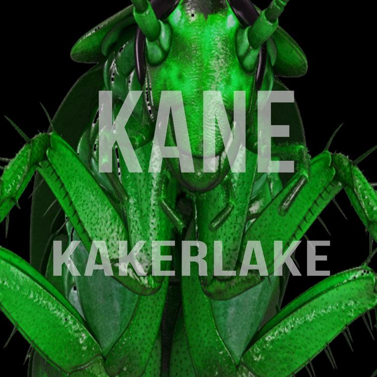 Kane's avatar image