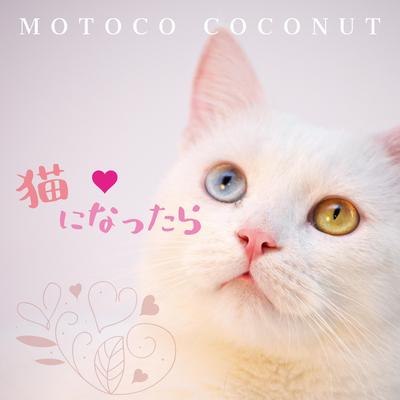 猫になったら By Motoco Coconut's cover