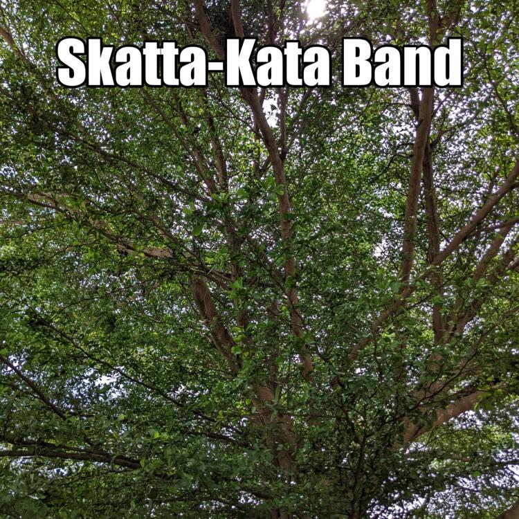 skatta kata band's avatar image