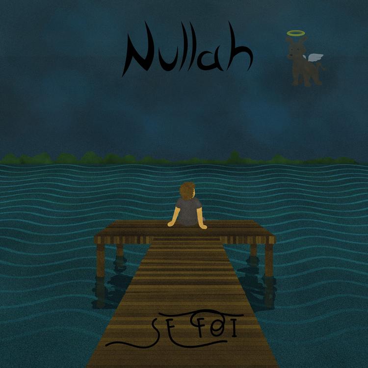 Nullah's avatar image