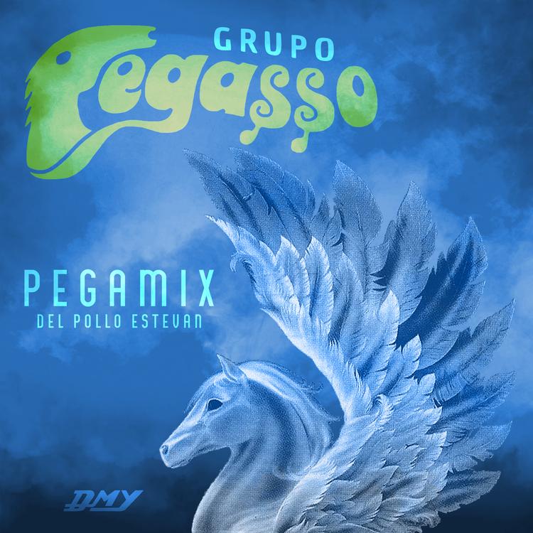 Grupo Pegasso Del Pollo Estevan's avatar image