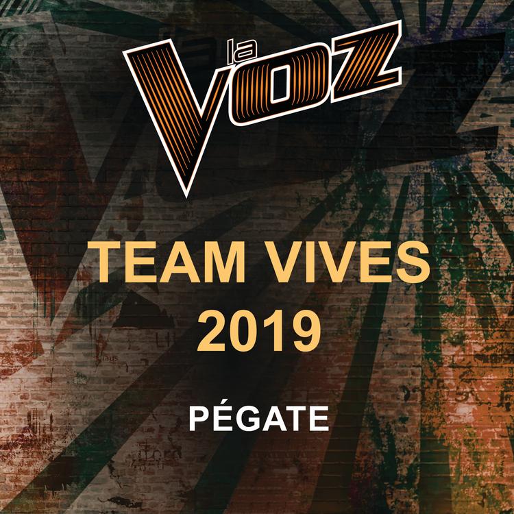 La Voz Team Vives 2019's avatar image