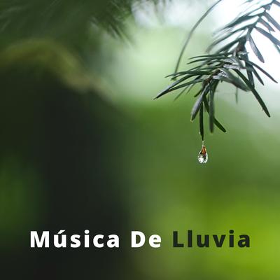 Música De Lluvia: Sonidos Fuertes De Lluvia's cover