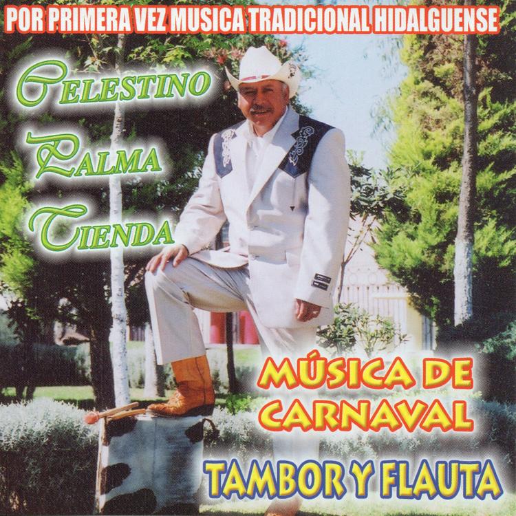 Celestino Palma Cienda's avatar image