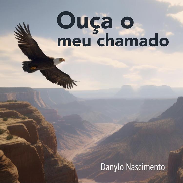 Danylo Nascimento's avatar image