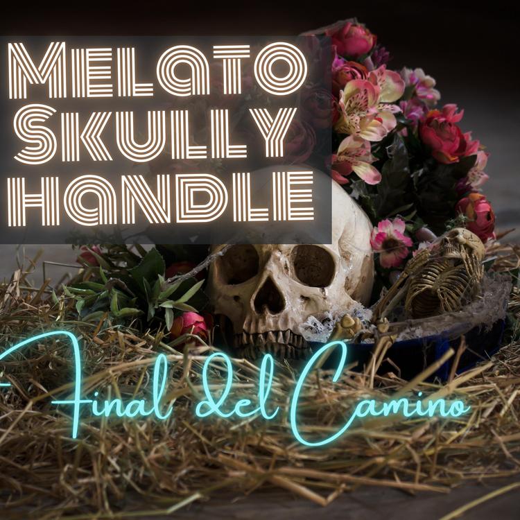 MELATO SKULLY HANDLE's avatar image