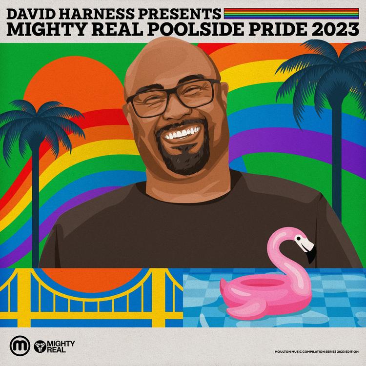David Harness's avatar image