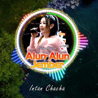 Alun Alun Jember ( Remix )'s cover