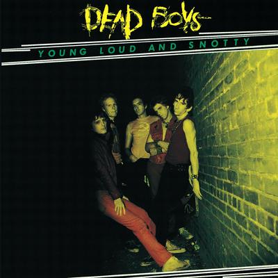 Sonic Reducer By Dead Boys's cover
