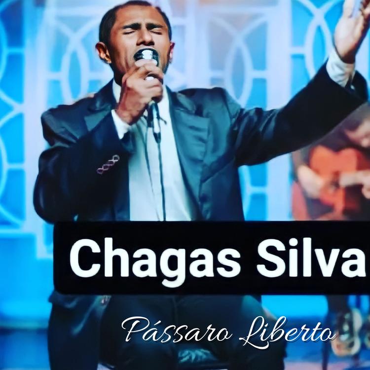 Cantor Chagas Silva's avatar image