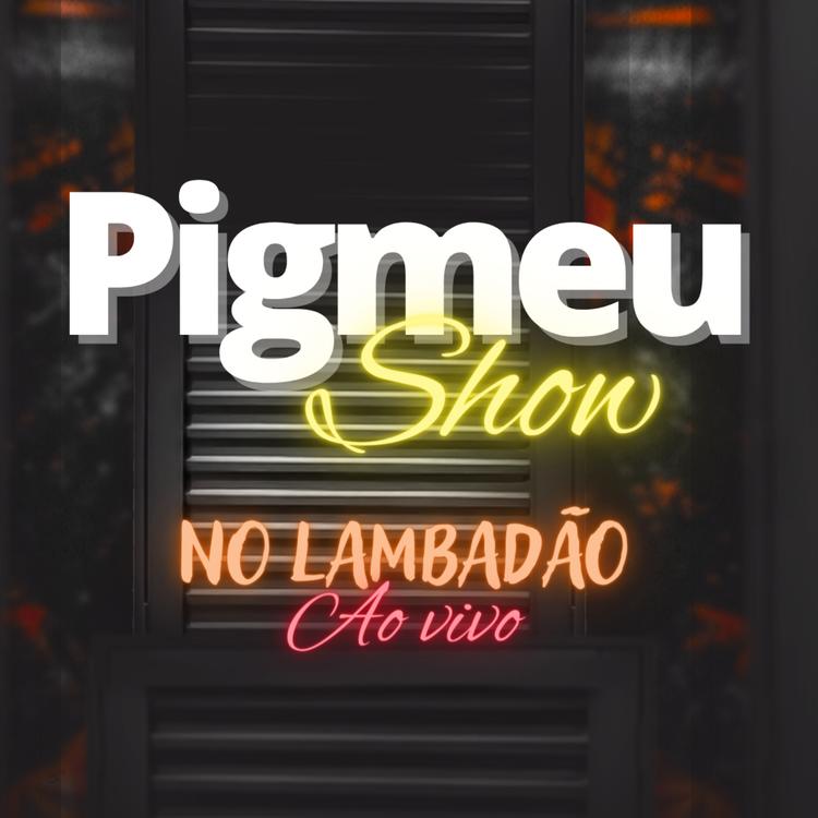 Pigmeu Show's avatar image