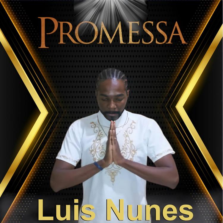 Luís Nunes's avatar image