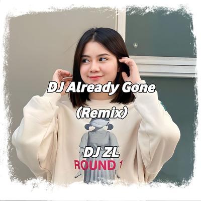 DJ Already Gone (Remix)'s cover