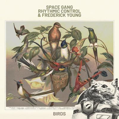 Birds By Space Gang, Rhythmic Control, Frederick Young's cover