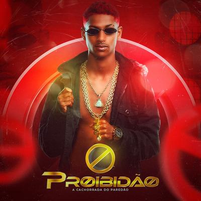 Ela Vai Kikando By Banda PROIBIDÃO's cover