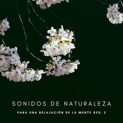 Sonidos De Naturaleza Para Una Relajación De La Mente Ses. 2's cover