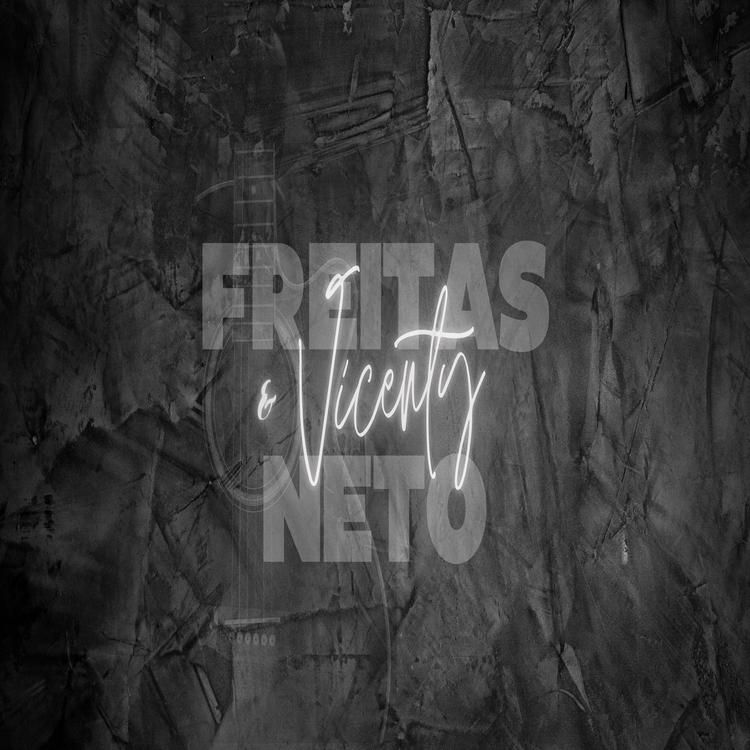 Freitas Neto & Vicenty's avatar image